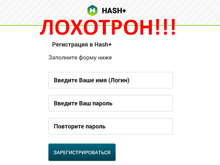 Платформа HASH+, Регистрация в HASH+