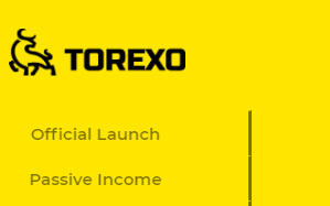 torexo.finance отзывы