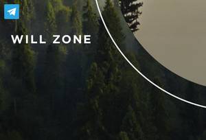 Will Zone,Will Zone отзывы о сайте,willzone.online,willzone.online отзывы