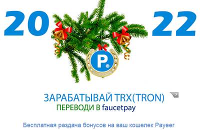 payeerbonus2022.ru,payeerbonus2022.ru отзывы,support@payeerbonus2022.ru,Отзывы о сайте Payeer Bonus